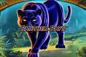 Playtech : Panther Pays - MG138