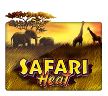 Safari Heat - MG138