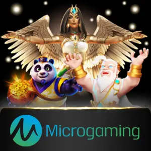 Microgaming - MG138