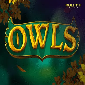 Owls - MG138