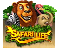 Safari Life - MG138