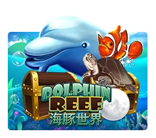 Dolphin Reef - MG138