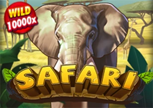 AFB : Safari - MG138